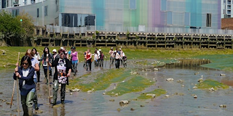 Discover Deptford Creek - Creek Know How