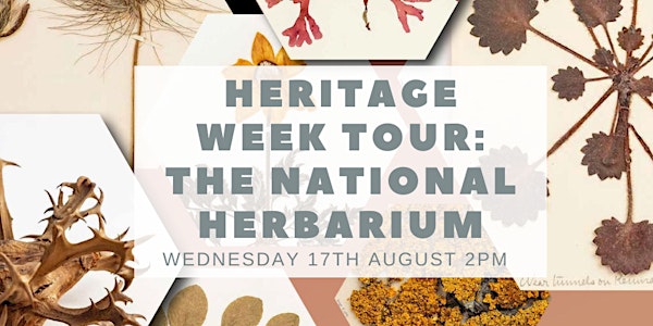Heritage Week Tour: The National Herbarium