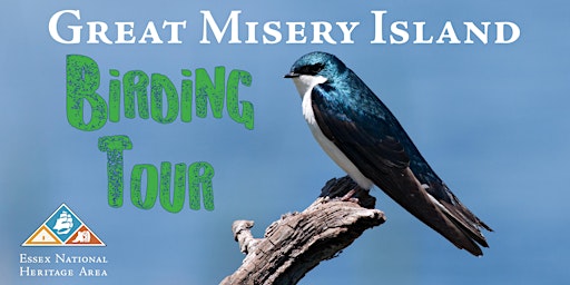 Great Misery Island Birding and Nature Tour with Chris Leahy primary image