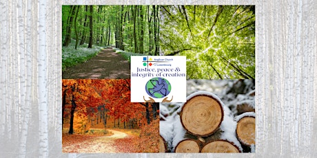JPIC Creationtide Event: Forest Management in Luxembourg