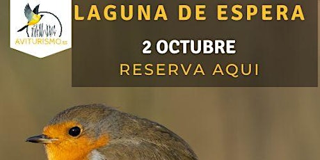 Laguna de Espera Birdwatching en Cádiz - Observaci