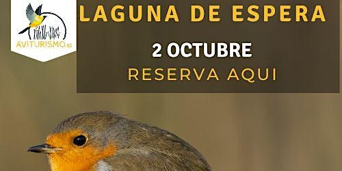 Laguna de Espera Birdwatching en Cádiz - Observación de aves