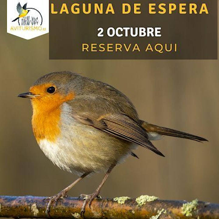 Imagen de Laguna de Espera Birdwatching en Cádiz - Observaci