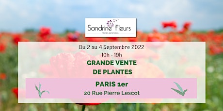 Paris Les Halles - Grande vente de plantes