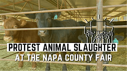 Protest For Animals Facing Slaughter at Napa County Fair