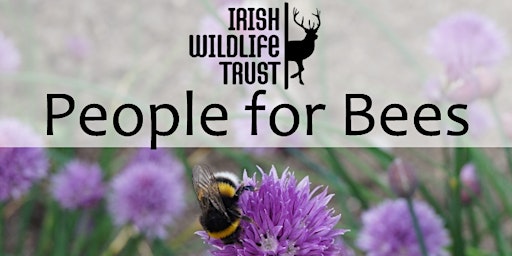IWT People for Bees (Monaghan)