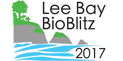MBA/Coastwise/AONB Lee Bay BioBlitz