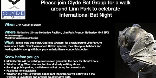 International Bat Night Bat Walk, Linn Park, Glasgow