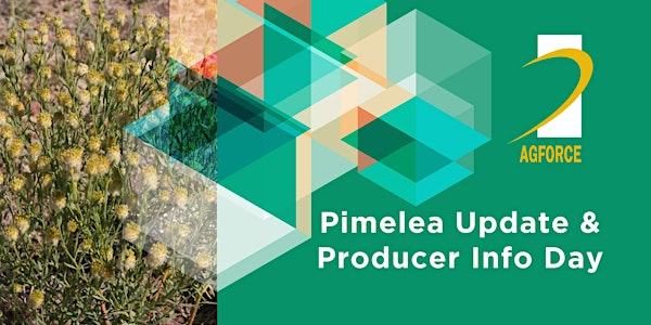 Pimelea Update & Producer Info Day