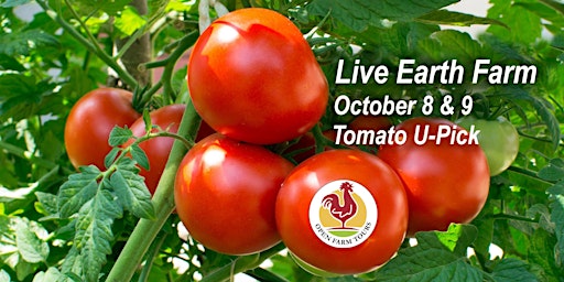 2022  OFT-  Live Earth Farm Tomato U-Pick