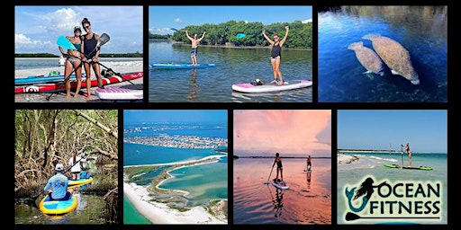 Paddleboard Adventure Tour to Shell Key Preserve!