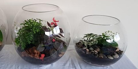 A Teahouse Terrarium Workshop  - The Serenity of Greenery Under Glass. primary image