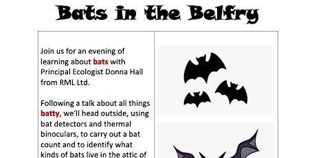 Bats in the Belfry!