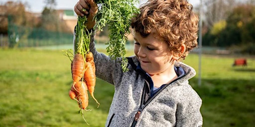 The Edible Garden: growing food with young people