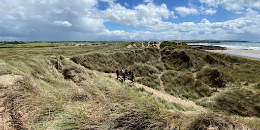 Tywyn Llyn, Rhosneigr: Plants of the dunes - morning guided walk