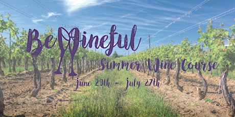 Winfulness 101: Mindfulness in the Vineyard primary image