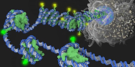 STS Master Class: Epigenetics and Metabolism (Landecker + Kelty) primary image