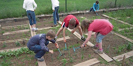 School Dividends: Growing Gardens
