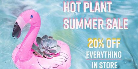 Hot Plant Summer Sale