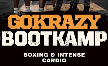 Go Krazy Fitness Beginners Boxing Class