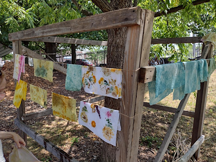 Farmhouse Family Day: Natural Dyes image
