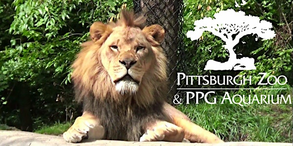 Wild Investigations at the Pittsburgh Zoo (grades 3-6)