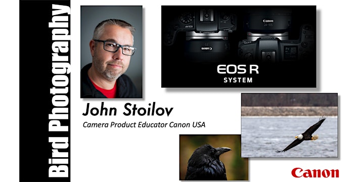 Bird Photography with the Canon EOS R System - ONLINE image