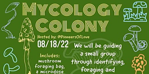 Mycology Colony