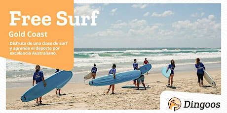 Dingoos Free Surf - Gold Coast