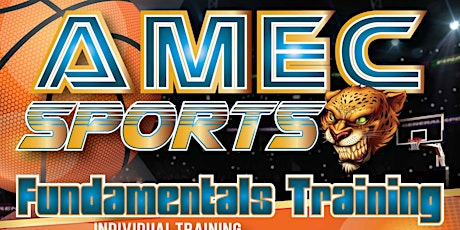 AAU AMEC (Girls/Boys) Basketball primary image