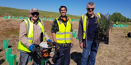 Planting day at Aldinga WWTP with Willunga Hills Face Landcare Group