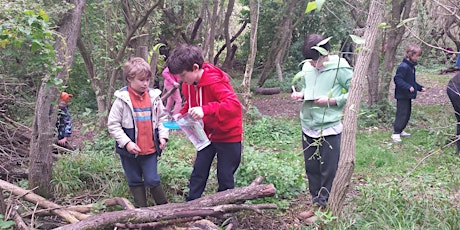 Young Rangers - Windsor Great Park, Saturday 22 October