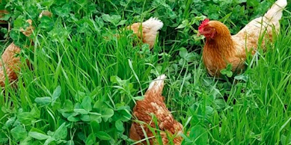 Broiler Chicken Production & Soil Health Management Plan