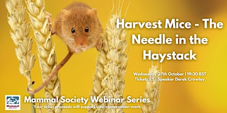 TMS Webinar - Harvest Mice; The Needle in the Haystack - Recording