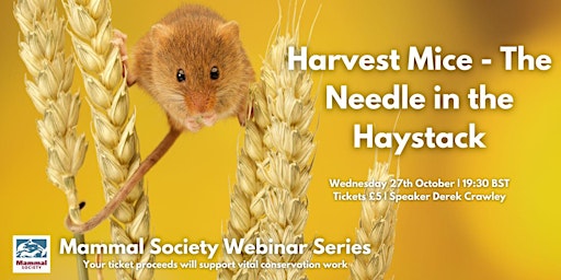 TMS Webinar - Harvest Mice; The Needle in the Haystack - Recording