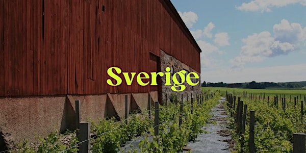 Vinprovning: Sverige