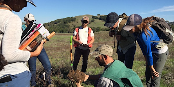 Wetland Delineation Training 2022