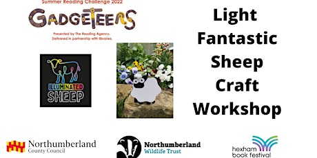 Hexham Library - Light Fantastic Sheep