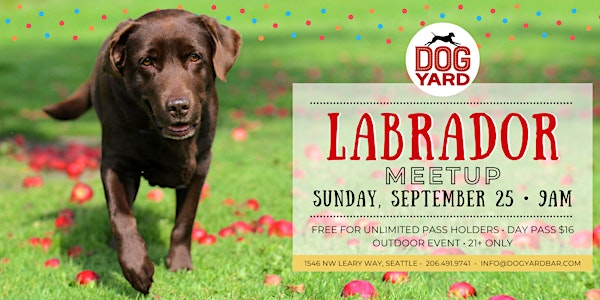 Labrador Meetup at the Dog Yard Bar - Sunday, September 25