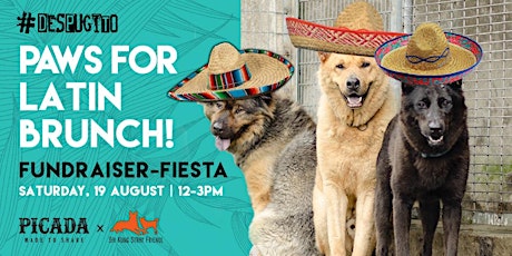 Paws For Latin Brunch! | Sai Kung Stray Friends Fundraiser-Fiesta | #desPUGito primary image