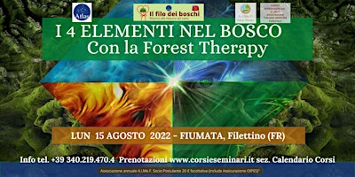 Forest Therapy - I 4 elementi nel Bosco