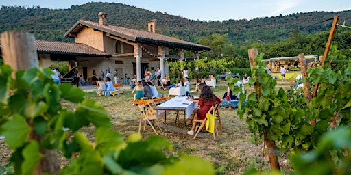 Wine&Country - Cantine Aperte