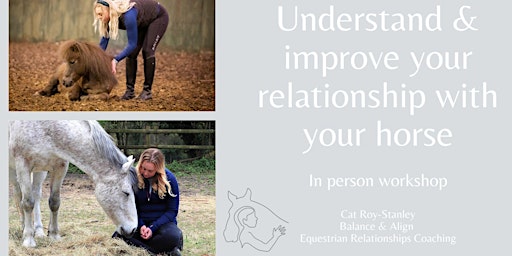 Understand and Improve the Relationship with your Horse