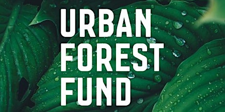 Industry Briefing Session - Urban Forest Fund primary image