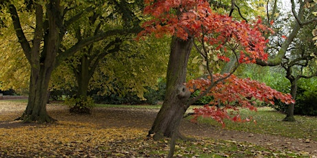 Music for an autumn evening Albert Park Abingdon