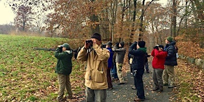 Small Group Birding: Sat, Nov 19, 8:00 am, Rockefeller State Park Preserve