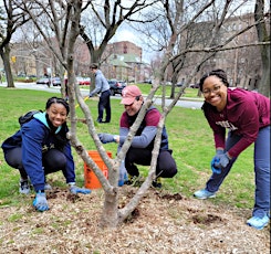 Tree Giveaway and Stewardship Day at Mosholu Parkway