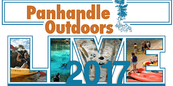 Navarre Beach Marine Sanctuary Snorkel Adventure