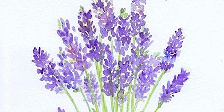 Painting Lavender Bunch with Watercolors, Adults and Teens Class