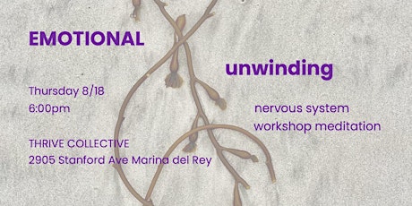 Emotional Unwinding Workshop